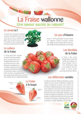 La fraise