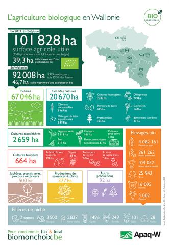 Les derniers chiffres du secteur bio