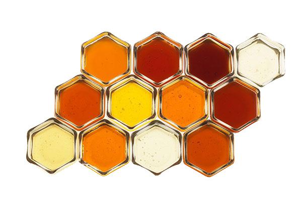 Concours des miels d'ici et d'ailleurs 2025 - Résultats