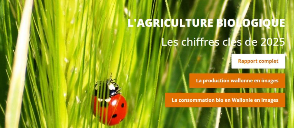 L'agriculture biologique - Les chiffres clés de 2025